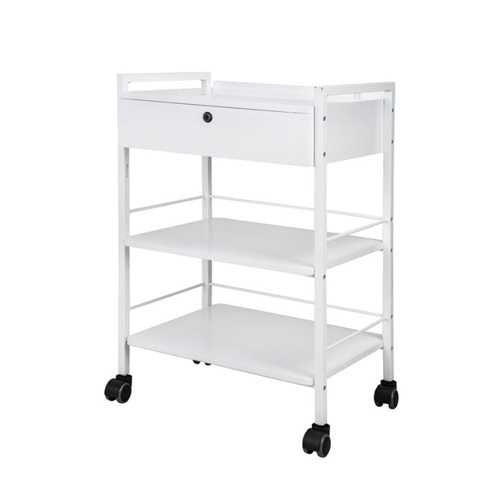 SilverFox 1019A Beautician Stool with Multi-Layer Storage