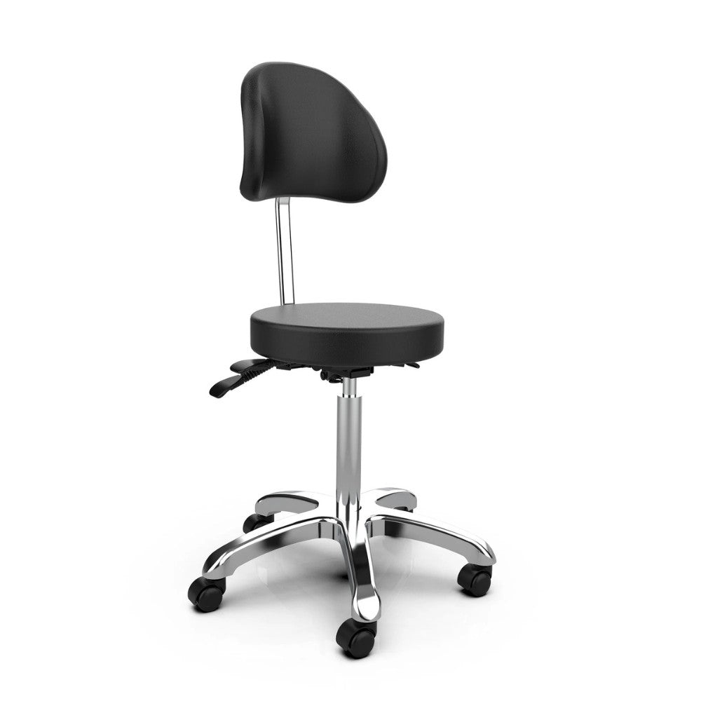 SilverFox 1025B Ergonomic Adjustable Backrest Stool