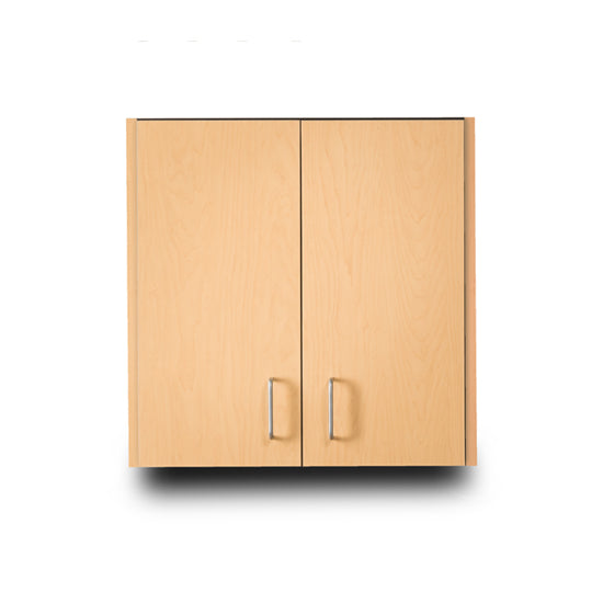 Clinton 8224 Wall Cabinet w/2 Doors | QuinceMedical.com