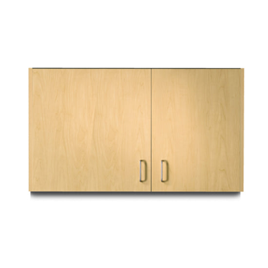 Clinton 8242-9 Wall Cabinet w/2 Doors | QuinceMedical.com