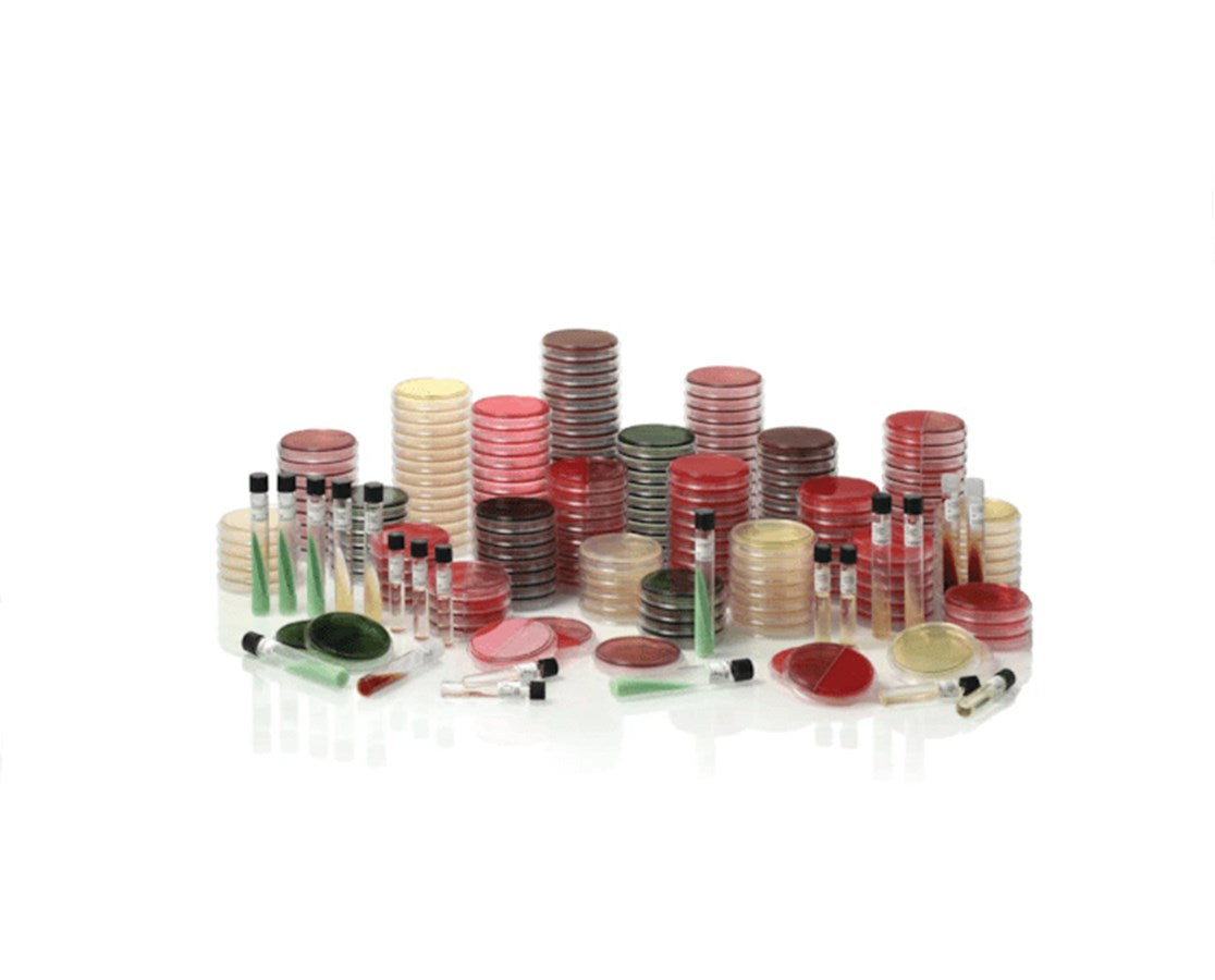 BD BBL™ Prepared Media