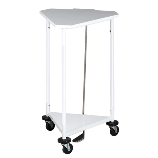 Clinton H-43 18 in. Triangular Hamper with Lid (white) | QuinceMedical.com
