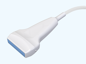 Convex array transducer: C361-2 (+$1.650.00)