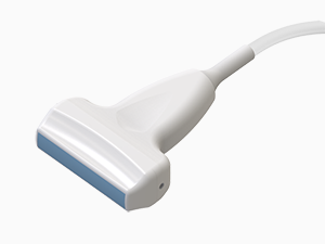 Convex array transducer: C361-2 (+$1.650.00)