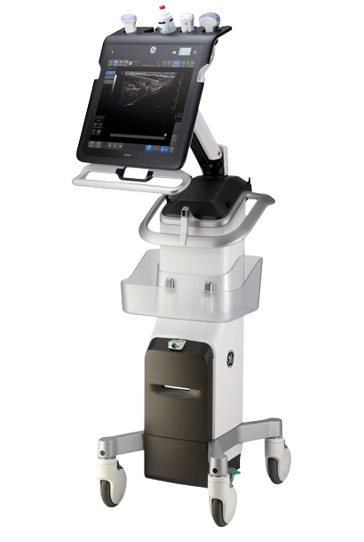GE Venue™ R4 Ultrasound Unit GEM H8042VZ | QuinceMedical.com