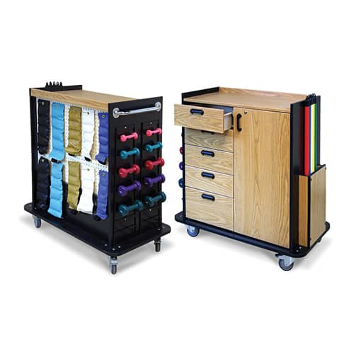Hausmann Mobile Therapy Station and Accessorized Rack | QuinceMedical.com