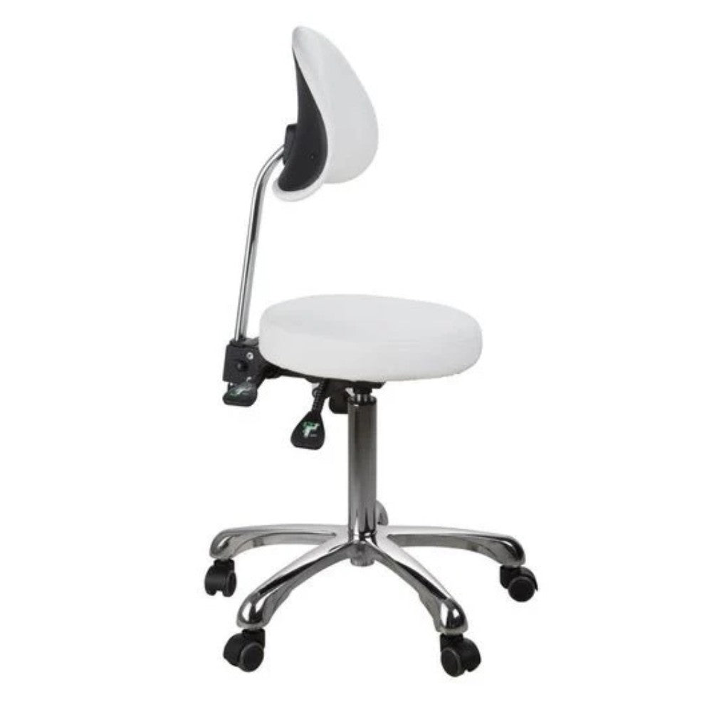 SilverFox 1025B Ergonomic Adjustable Backrest Stool