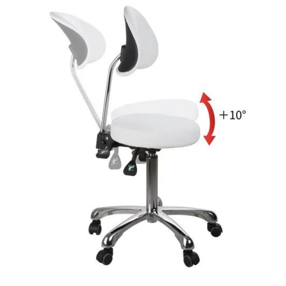 SilverFox 1025B Ergonomic Adjustable Backrest Stool