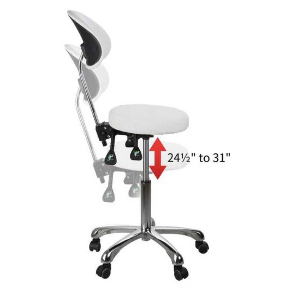SilverFox 1025B Ergonomic Adjustable Backrest Stool
