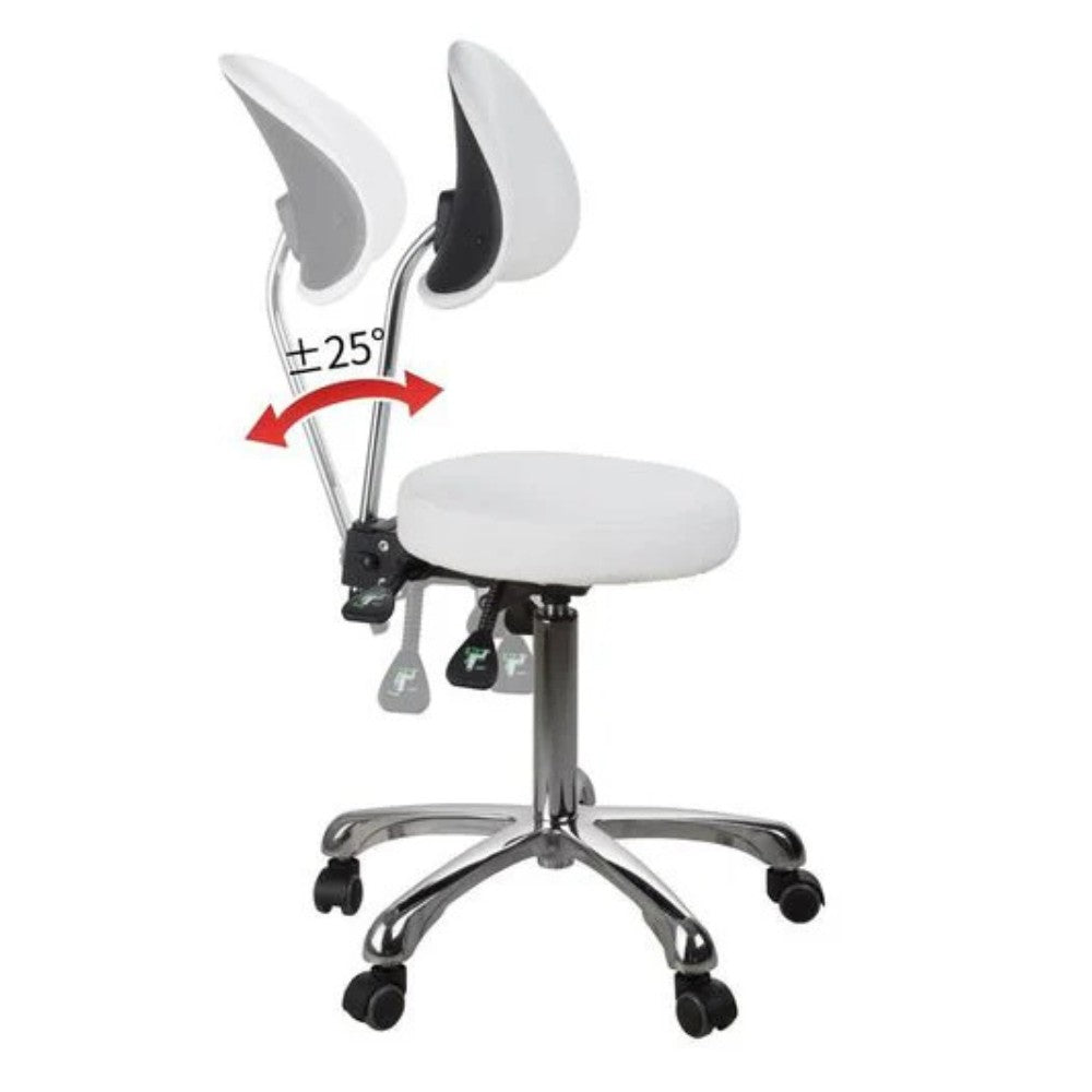 SilverFox 1025B Ergonomic Adjustable Backrest Stool