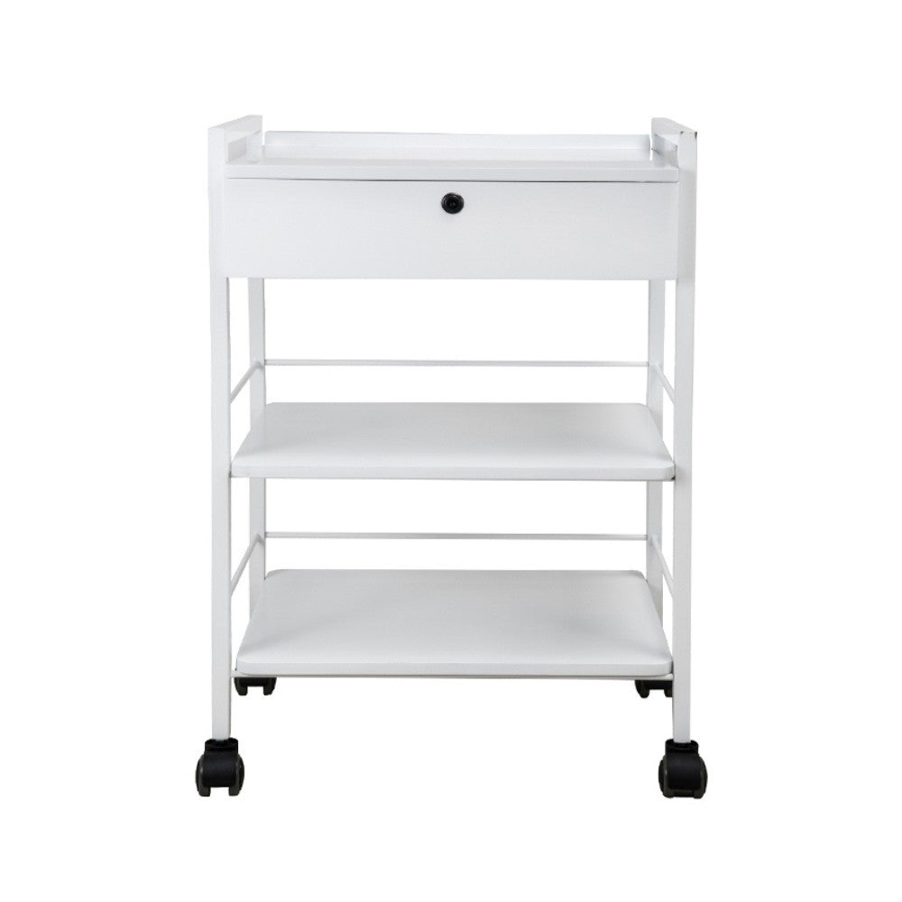 SilverFox 1019A Beautician Stool with Multi-Layer Storage