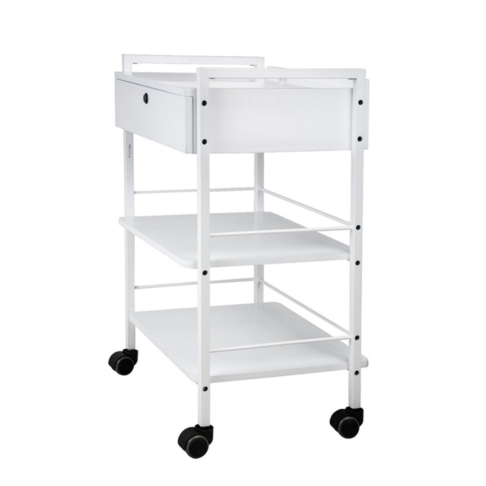 SilverFox 1019A Beautician Stool with Multi-Layer Storage