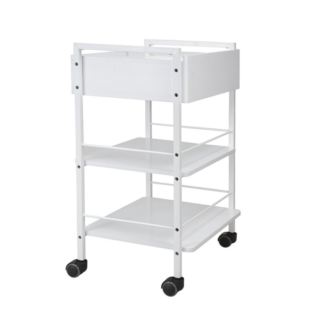 SilverFox 1019A Beautician Stool with Multi-Layer Storage