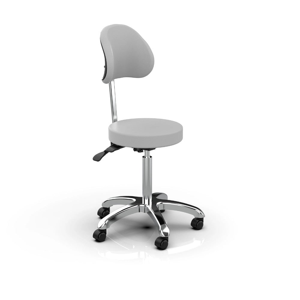 SilverFox 1025B Ergonomic Adjustable Backrest Stool