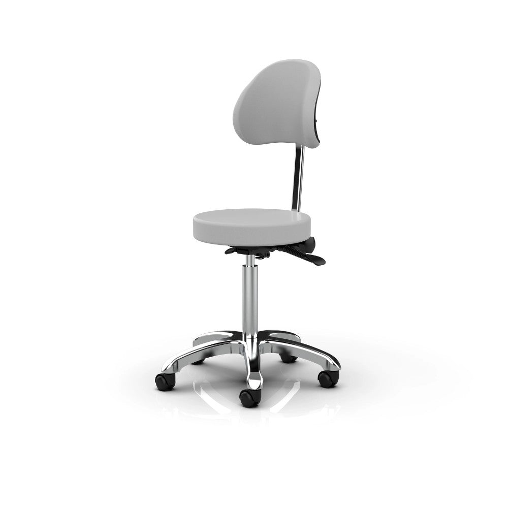 SilverFox 1025B Ergonomic Adjustable Backrest Stool