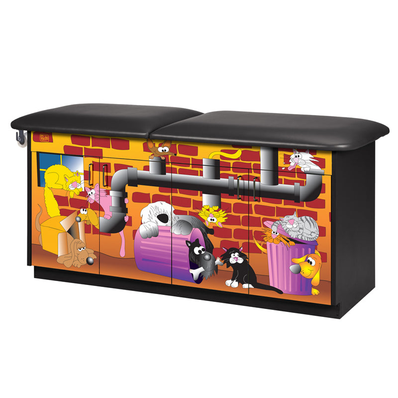 Clinton 7937 Alley Cats and Dogs Treatment Table | QuinceMedical.com