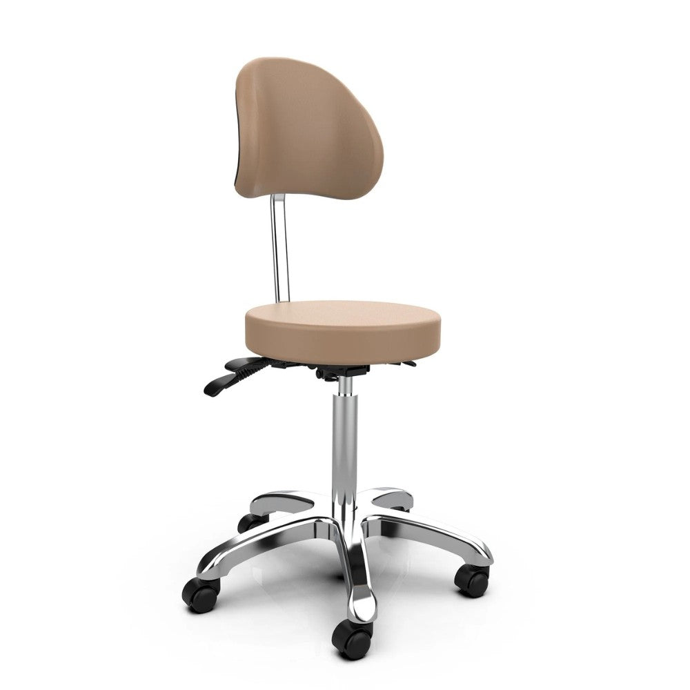 SilverFox 1025B Ergonomic Adjustable Backrest Stool