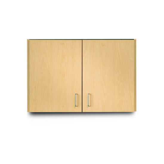 Clinton 8236 Wall Cabinet w/2 Doors | QuinceMedical.com