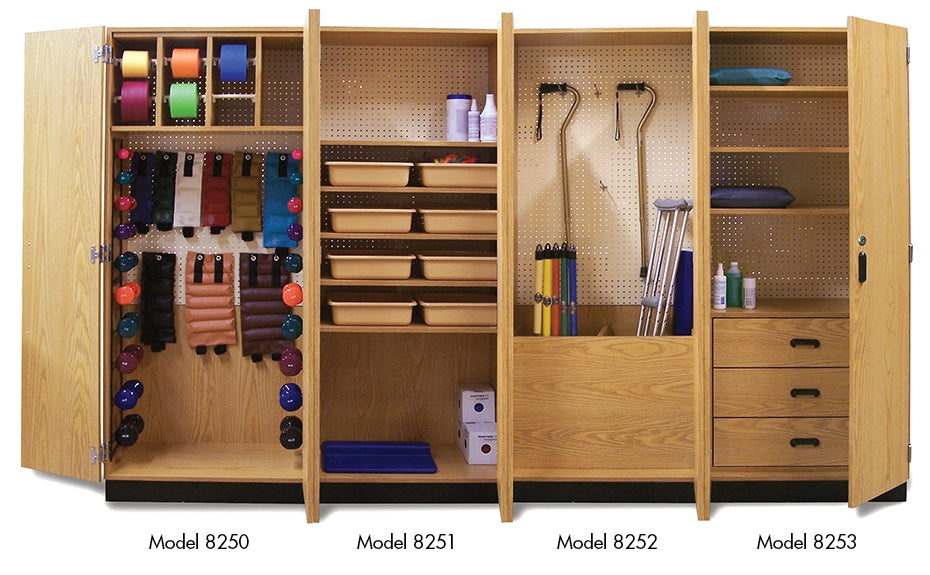 Hausmann Thera-Wall™ Therapy Storage System | QuinceMedical.com