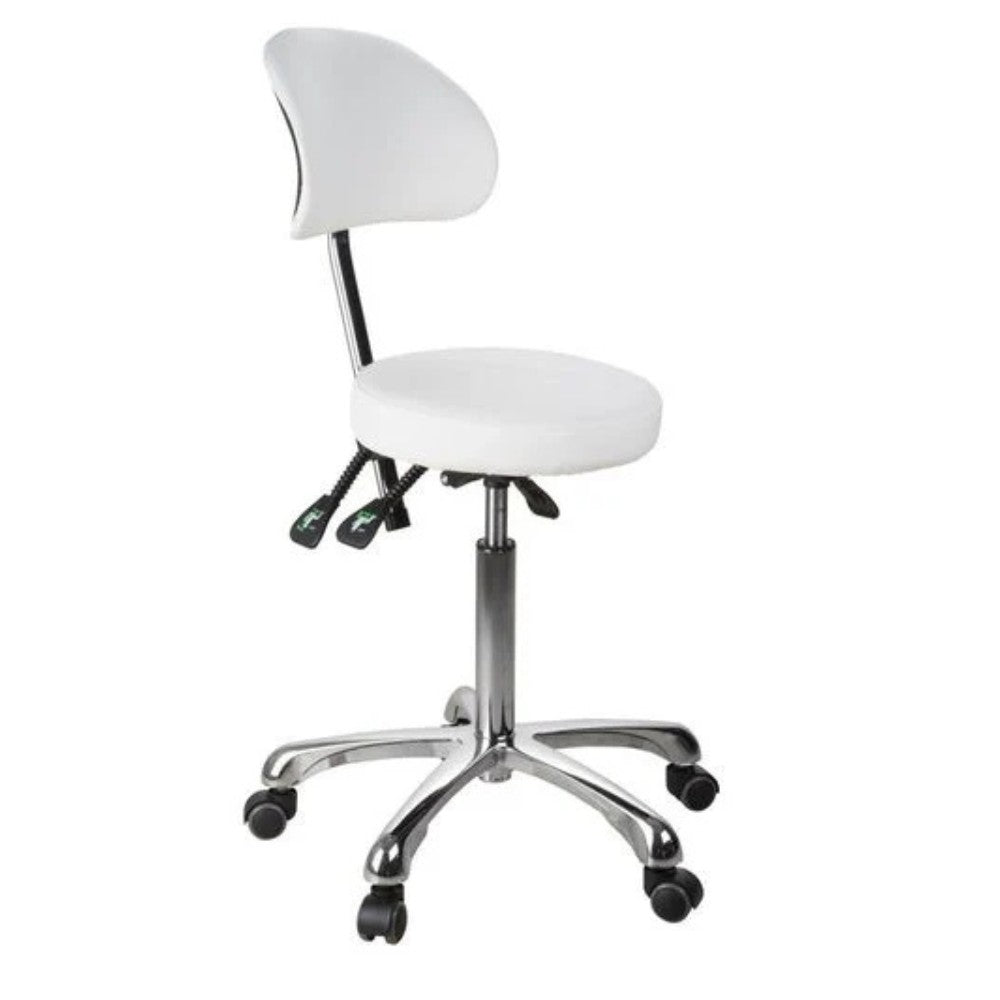 SilverFox 1025B Ergonomic Adjustable Backrest Stool