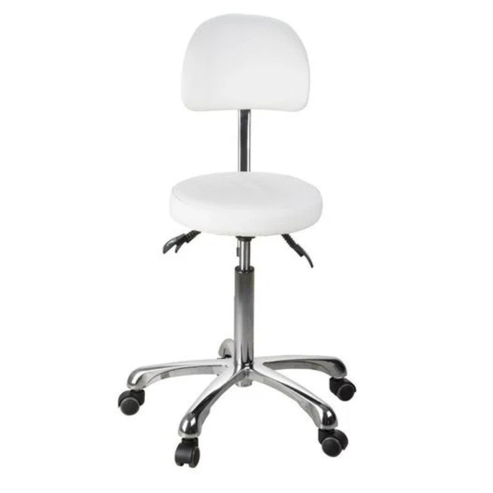 SilverFox 1025B Ergonomic Adjustable Backrest Stool