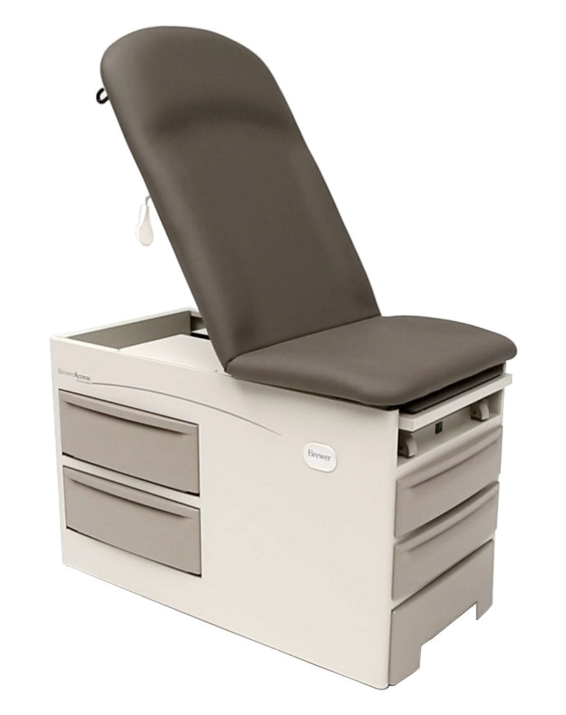 Brewer Access Exam Table