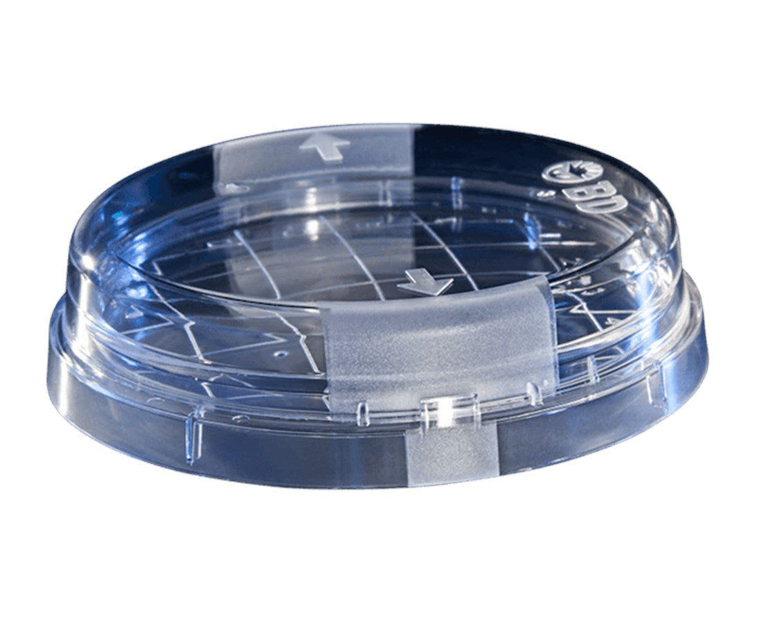 BD BBL™ Prepared Media