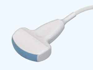 Convex array transducer: C361-2 (+$1.650.00)