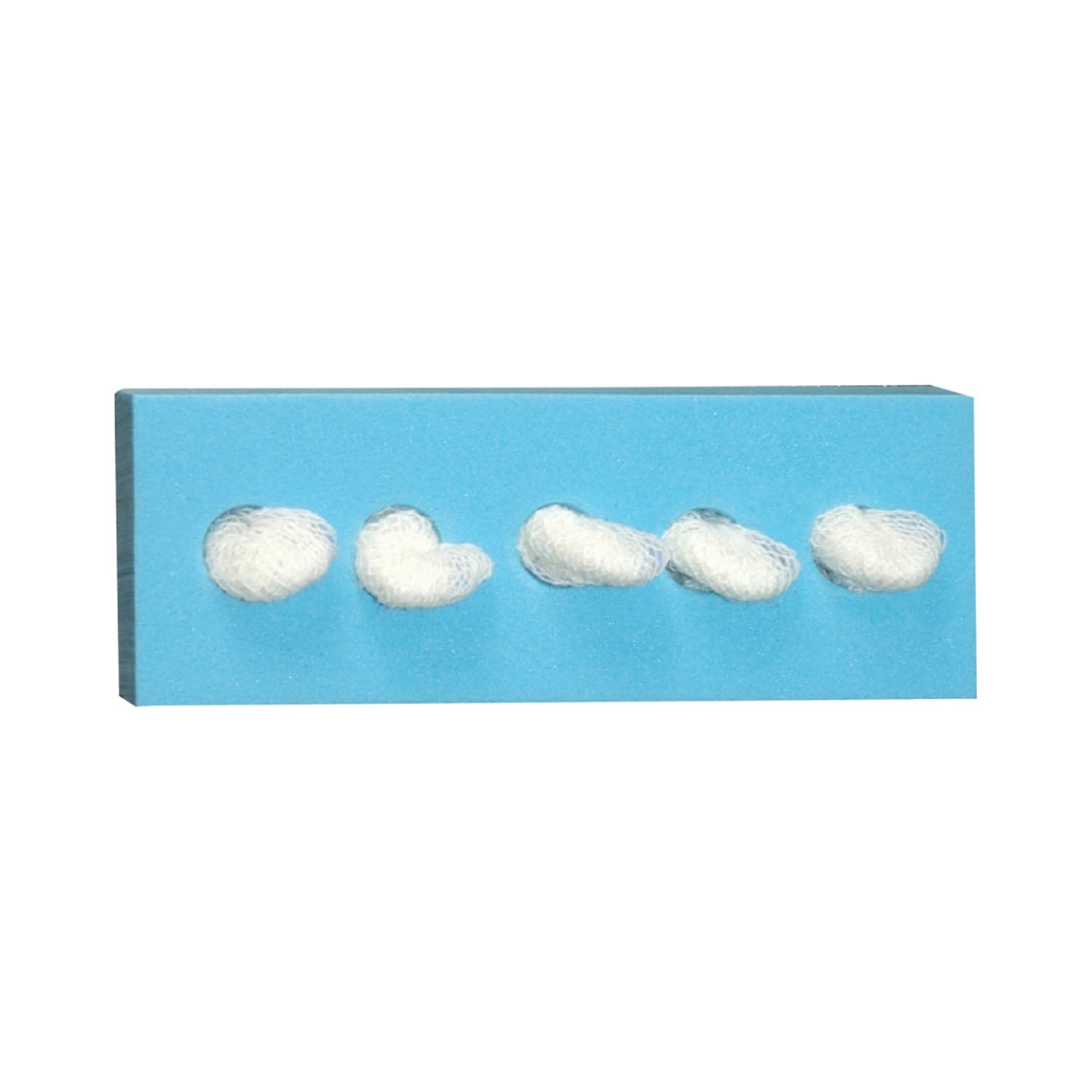 Dukal Dissecting Sponges