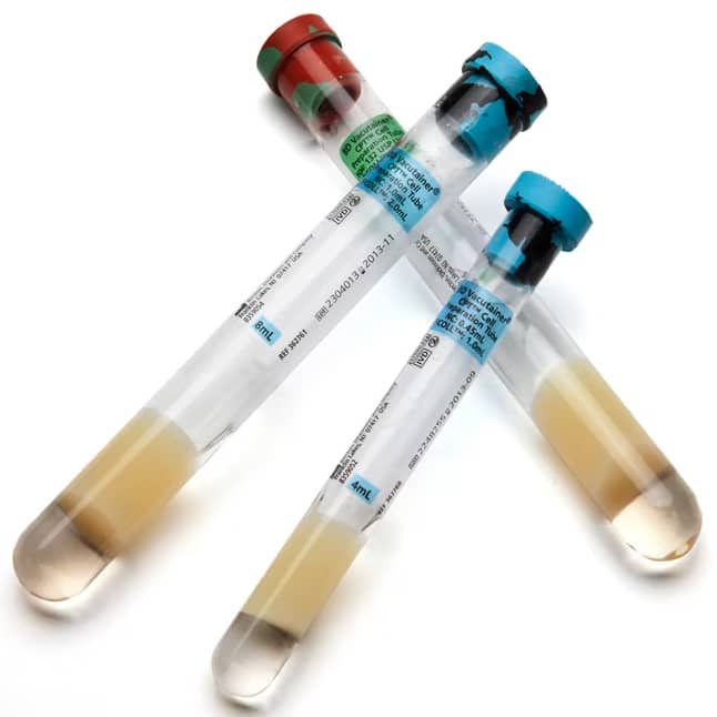 BD Vacutainer Mononuclear Cell Preparation Tube [CPT] (60/Case) | QuinceMedical.com