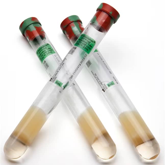 BD Vacutainer Mononuclear Cell Preparation Tube [CPT] (60/Case) | QuinceMedical.com