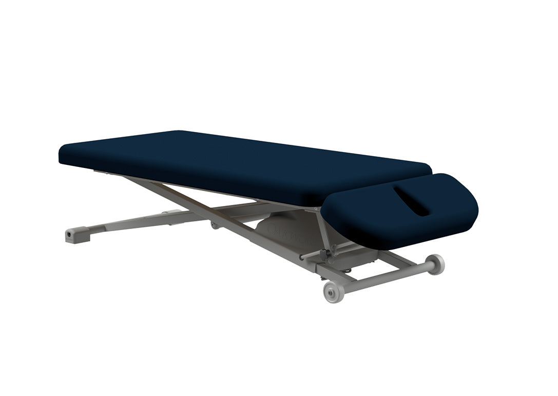 PT250 Table - 29 in Width, 1.75-2.5 in Padding, with Casters, Hand Control and Foot Controls